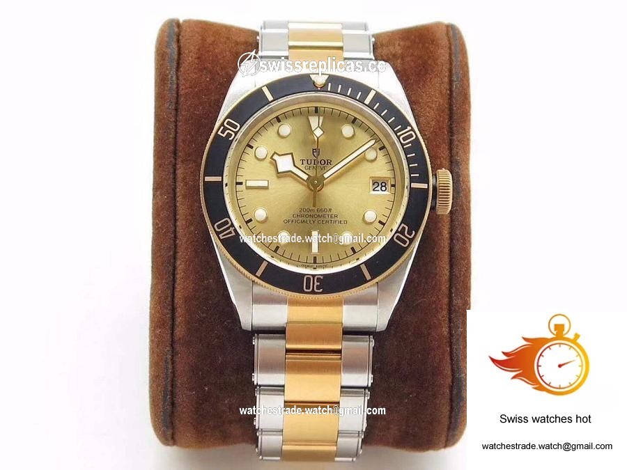 Tudor Heritage Black Bay S&G M79733N-0004 ZF Factory Champagne Dial 1