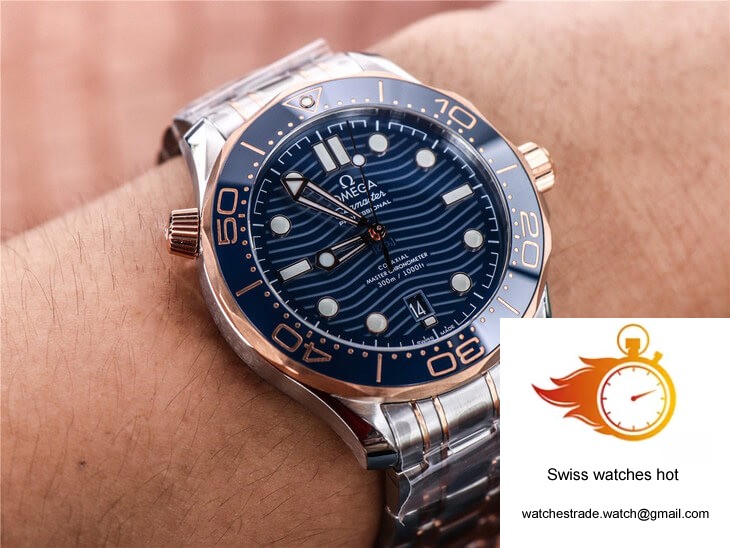 Omega Seamaster 210.20.42.20.03.002 VS Factory Ceramic Bezel 10