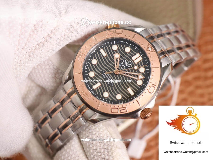 Omega Seamaster Diver 300M 210.60.42.20.99.001 OM Factory Grey Dial 2