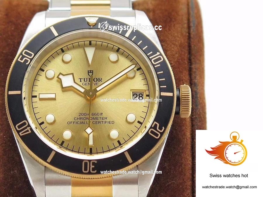 Tudor Heritage Black Bay S&G M79733N-0004 ZF Factory Champagne Dial 2