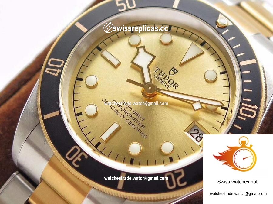 Tudor Heritage Black Bay S&G M79733N-0004 ZF Factory Champagne Dial 3